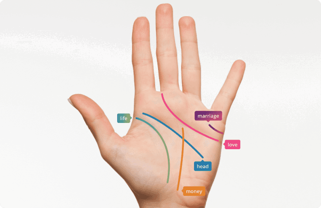 palm scanner